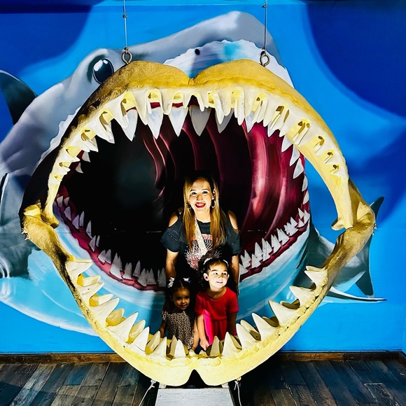 Meet your Posher, Mabel - Picture 2 of 4